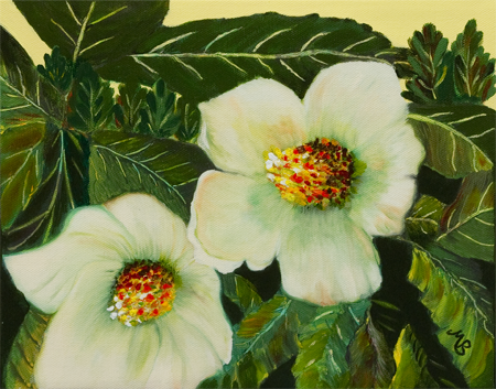 Southern Beauties by artist Mary Berger